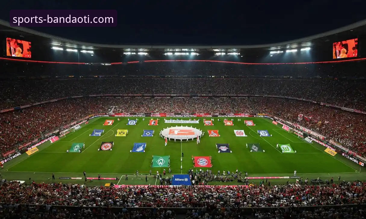 半岛体育综合平台：一站式体育娱乐生态的深度解析与官方下载指南